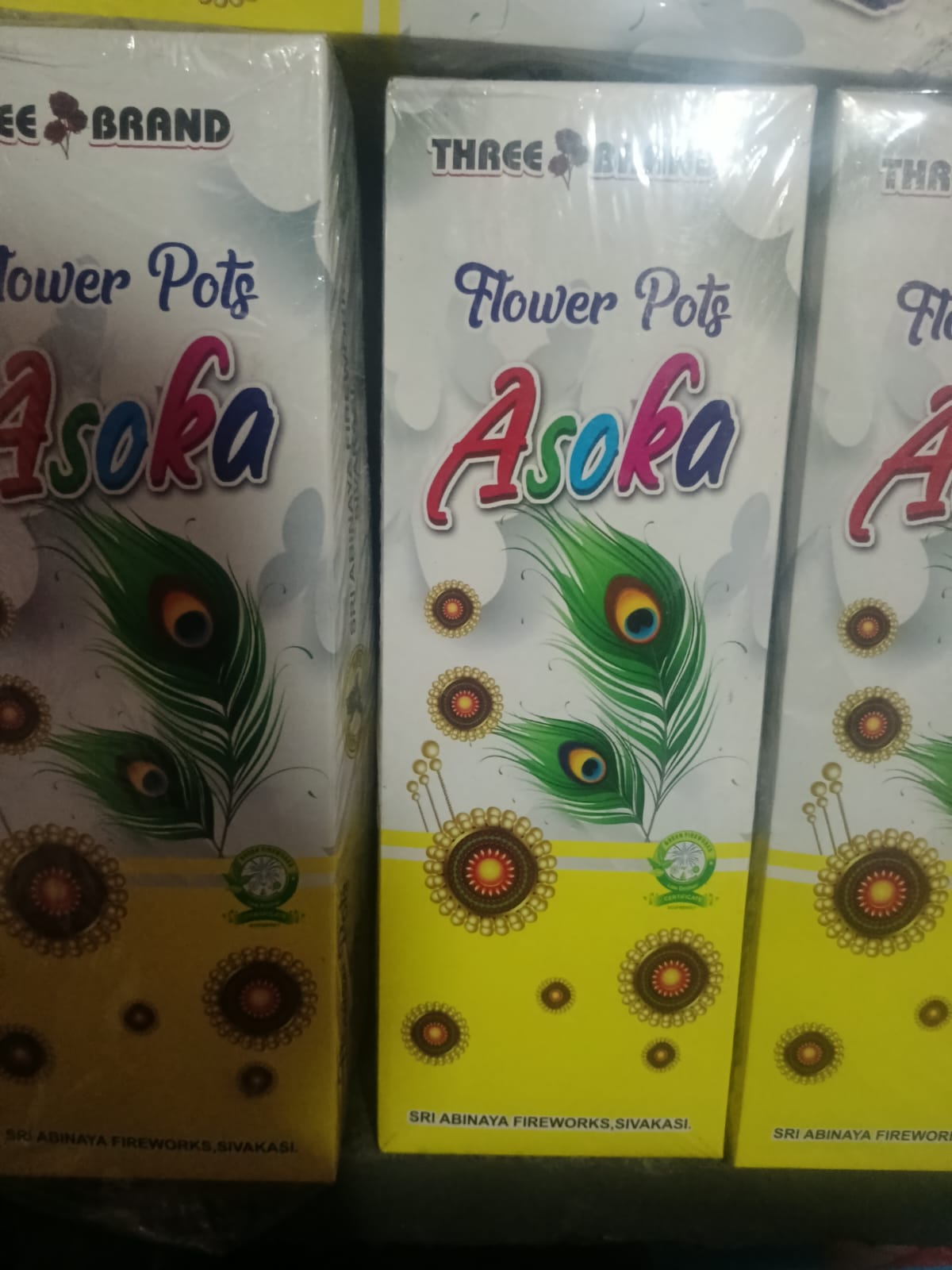Flower Pots Ashoka